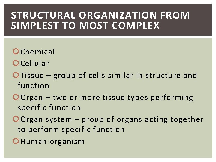 STRUCTURAL ORGANIZATION FROM SIMPLEST TO MOST COMPLEX Chemical Cellular Tissue – group of cells
