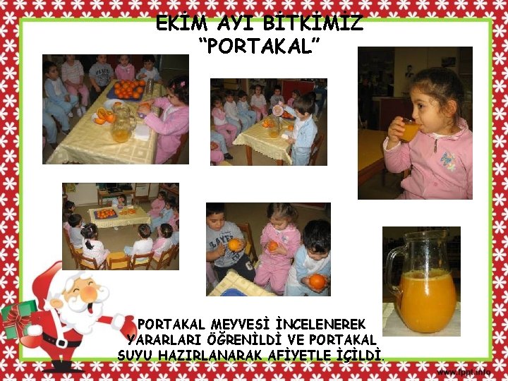 EKİM AYI BİTKİMİZ “PORTAKAL” PORTAKAL MEYVESİ İNCELENEREK YARARLARI ÖĞRENİLDİ VE PORTAKAL SUYU HAZIRLANARAK AFİYETLE