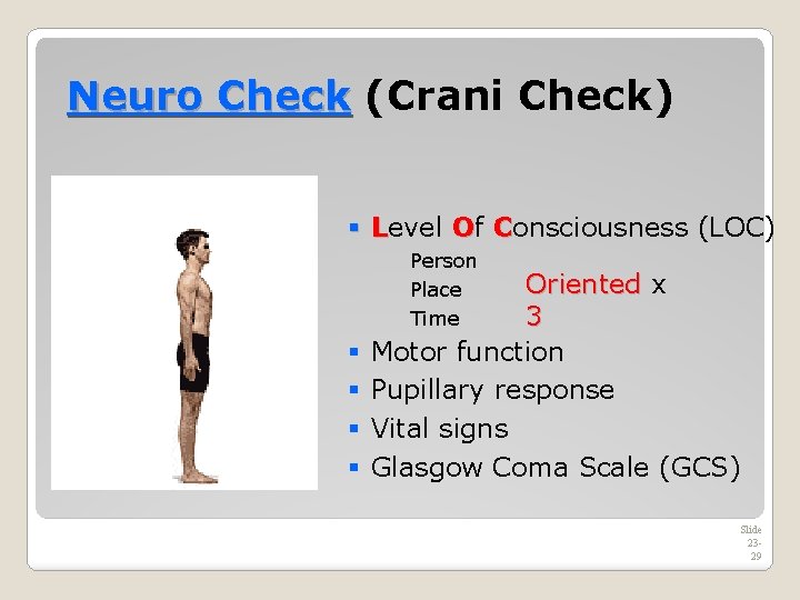 Neuro Check (Crani Check) § Level Of Consciousness (LOC) Person Place Time § §