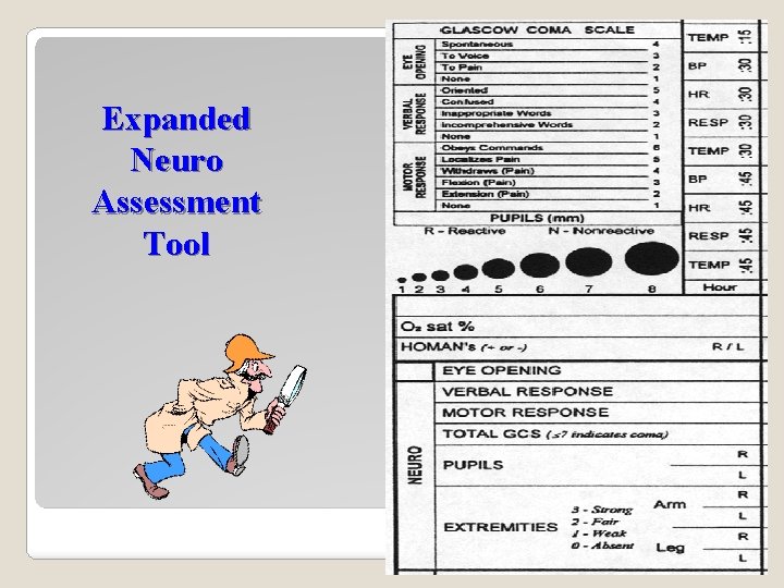 Expanded Neuro Assessment Tool 36 