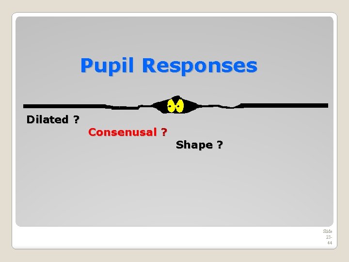 Pupil Responses Dilated ? Consenusal ? Shape ? Slide 2344 