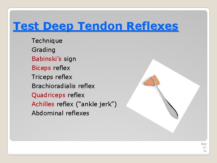 Test Deep Tendon Reflexes Technique Grading Babinski’s sign Biceps reflex Triceps reflex Brachioradialis reflex