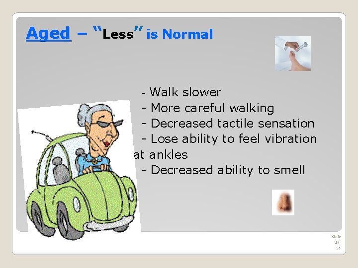 Aged – “Less” is Normal Walk slower - More careful walking - Decreased tactile