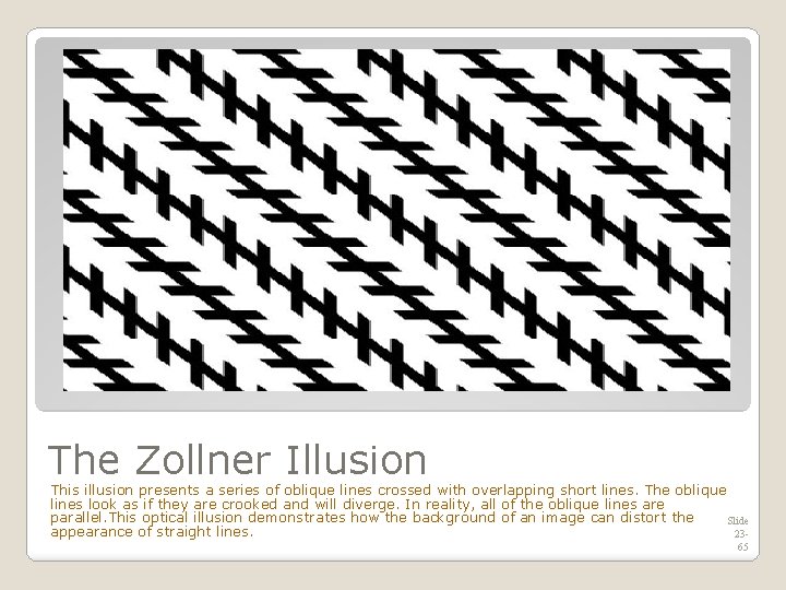 The Zollner Illusion This illusion presents a series of oblique lines crossed with overlapping