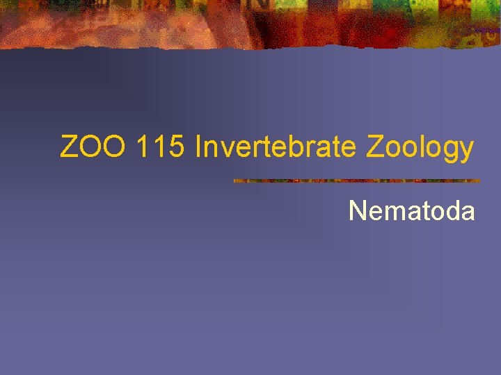 ZOO 115 Invertebrate Zoology Nematoda 