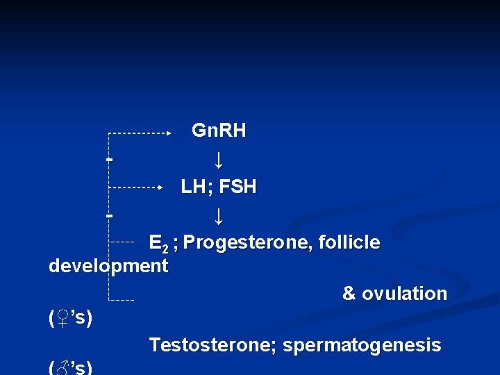 Gn. RH ↓ LH; FSH ↓ E 2 ; Progesterone, follicle development & ovulation