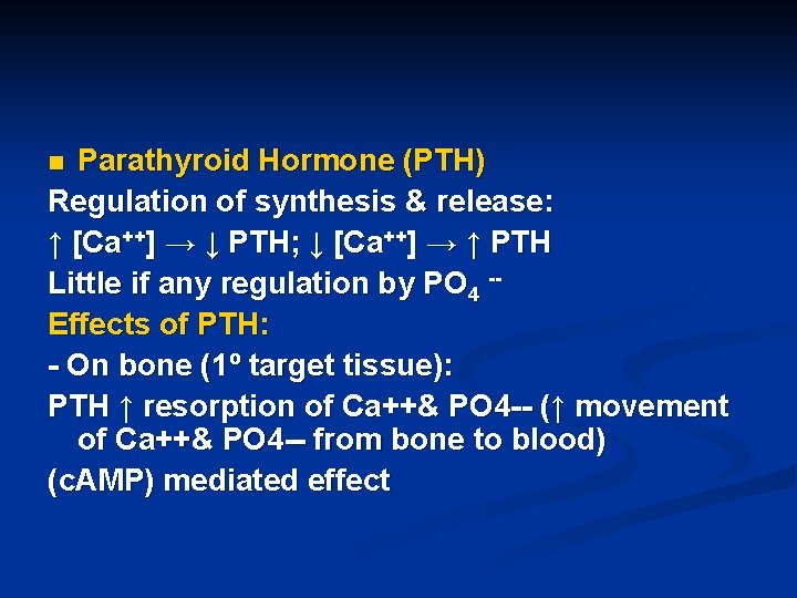 Parathyroid Hormone (PTH) Regulation of synthesis & release: ↑ [Ca++] → ↓ PTH; ↓