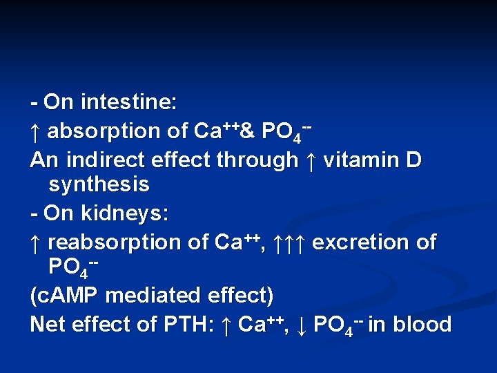 - On intestine: ↑ absorption of Ca++& PO 4 -An indirect effect through ↑