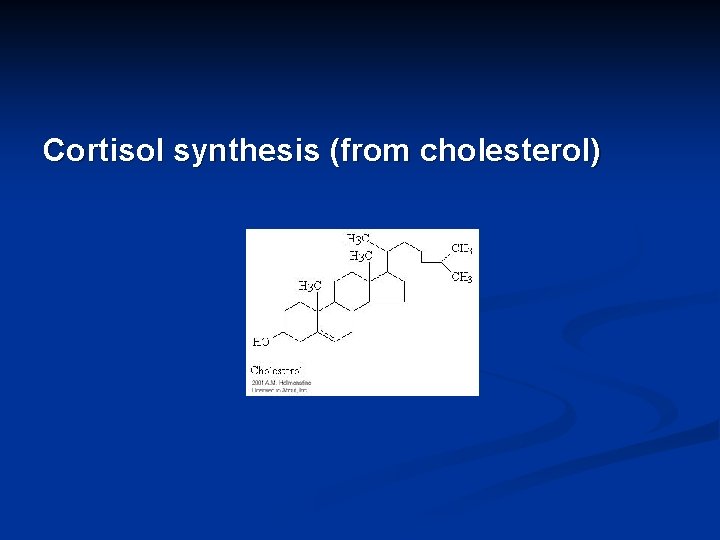 Cortisol synthesis (from cholesterol) 