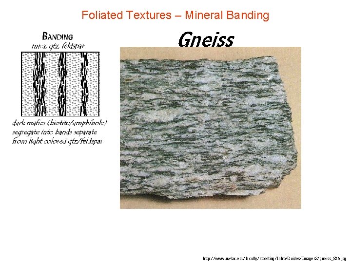 Foliated Textures – Mineral Banding Gneiss http: //www. uwlax. edu/faculty/stoelting/Intro/Guides/Images 2/gneiss_8 X 6. jpg Foliated Textures – Mineral Banding Gneiss http: //www. uwlax. edu/faculty/stoelting/Intro/Guides/Images 2/gneiss_8 X 6. jpg