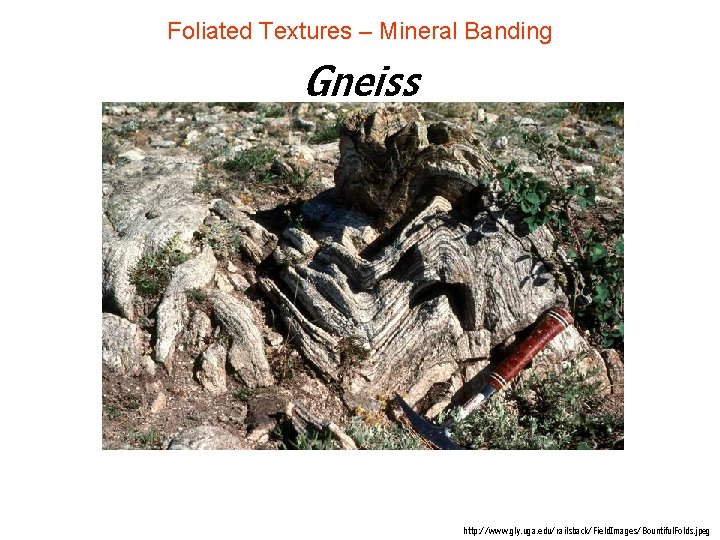 Foliated Textures – Mineral Banding Gneiss http: //www. gly. uga. edu/railsback/Field. Images/Bountiful. Folds. jpeg Foliated Textures – Mineral Banding Gneiss http: //www. gly. uga. edu/railsback/Field. Images/Bountiful. Folds. jpeg