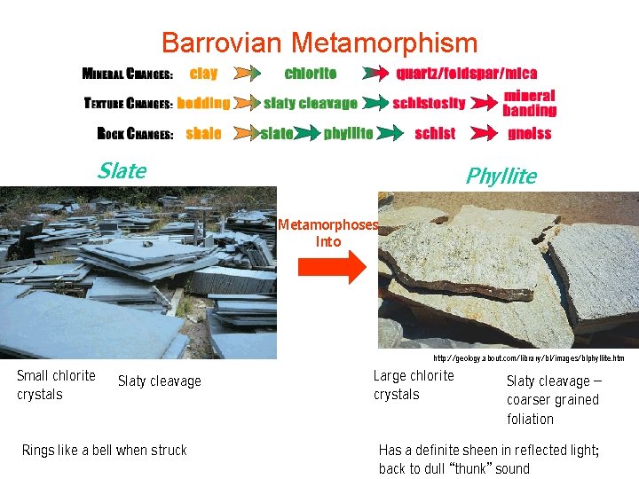 Barrovian Metamorphism Slate Phyllite Metamorphoses Into http: //geology. about. com/library/bl/images/blphyllite. htm Small chlorite crystals Barrovian Metamorphism Slate Phyllite Metamorphoses Into http: //geology. about. com/library/bl/images/blphyllite. htm Small chlorite crystals