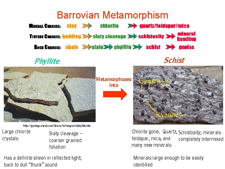 Barrovian Metamorphism Schist Phyllite Metamorphoses Into http: //geology. about. com/library/bl/images/blphyllite. htm Large chlorite crystals Barrovian Metamorphism Schist Phyllite Metamorphoses Into http: //geology. about. com/library/bl/images/blphyllite. htm Large chlorite crystals