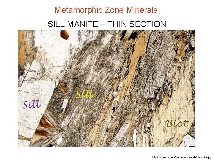 Metamorphic Zone Minerals SILLIMANITE – THIN SECTION http: //mines. unr. edu/museum/minerals/staurolite. jpg Metamorphic Zone Minerals SILLIMANITE – THIN SECTION http: //mines. unr. edu/museum/minerals/staurolite. jpg