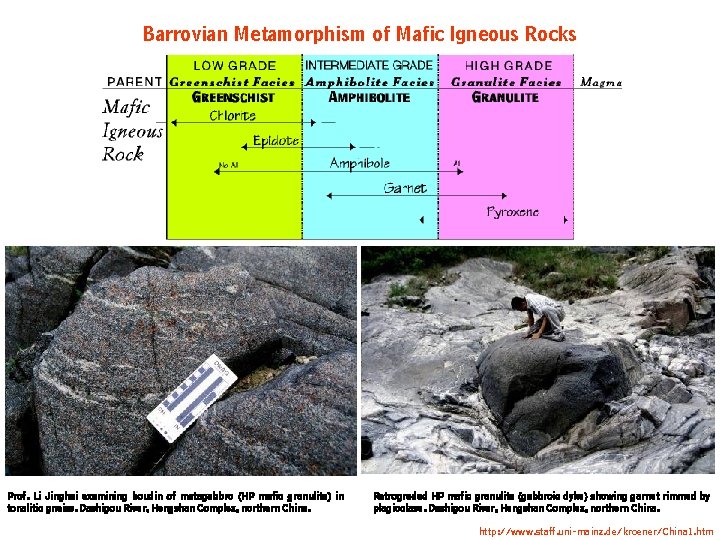 Barrovian Metamorphism of Mafic Igneous Rocks Prof. Li Jinghai examining boudin of metagabbro (HP Barrovian Metamorphism of Mafic Igneous Rocks Prof. Li Jinghai examining boudin of metagabbro (HP