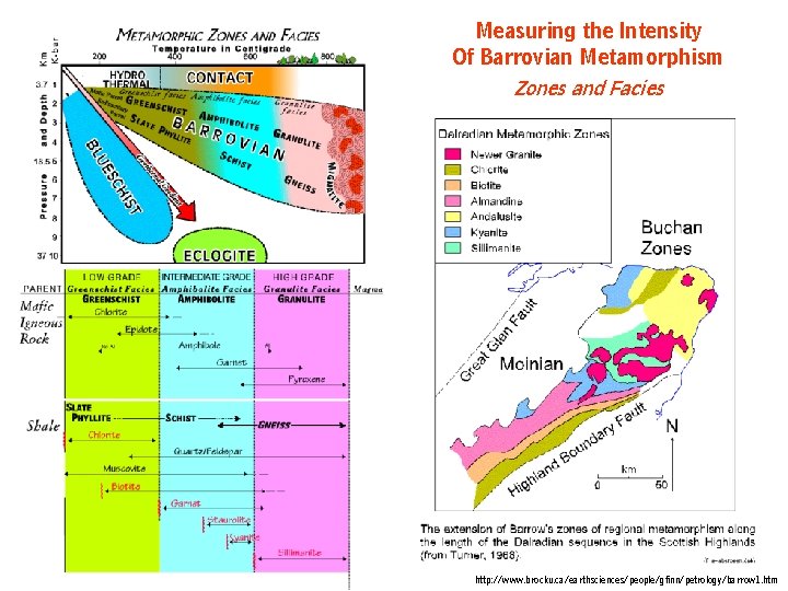 Measuring the Intensity Of Barrovian Metamorphism Zones and Facies http: //www. brocku. ca/earthsciences/people/gfinn/petrology/barrow 1. Measuring the Intensity Of Barrovian Metamorphism Zones and Facies http: //www. brocku. ca/earthsciences/people/gfinn/petrology/barrow 1.
