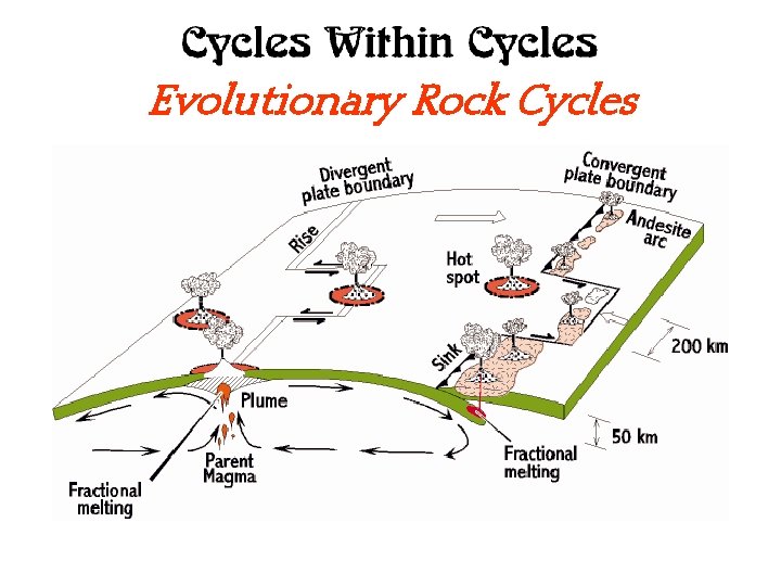 Evolutionary Rock Cycles Evolutionary Rock Cycles