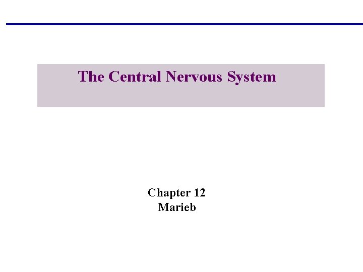 The Central Nervous System Chapter 12 Marieb Copyright © 2004 Pearson Education, Inc. ,