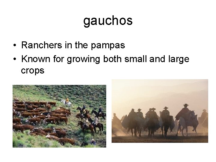 gauchos • Ranchers in the pampas • Known for growing both small and large
