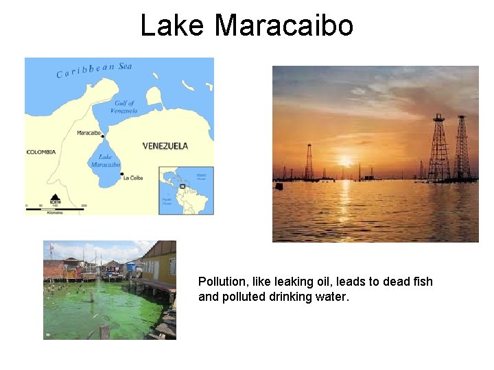 Lake Maracaibo Pollution, like leaking oil, leads to dead fish and polluted drinking water.