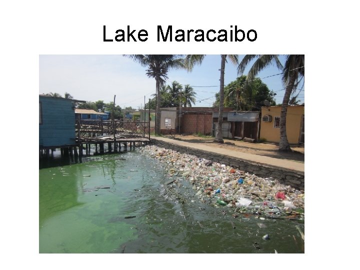 Lake Maracaibo 