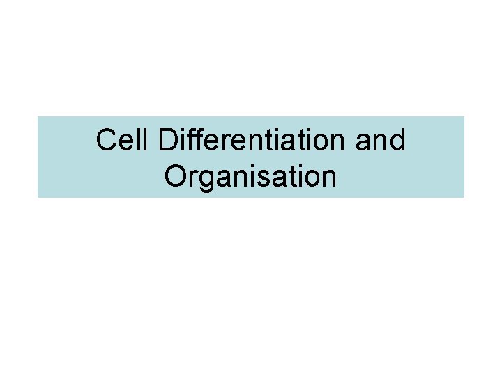 Cell Differentiation and Organisation 