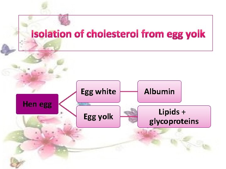 Egg white Hen egg Egg yolk Albumin Lipids + glycoproteins 