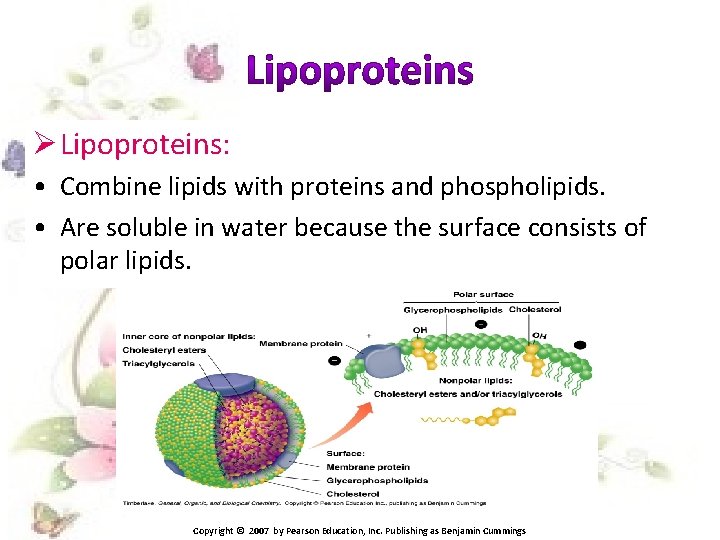 Ø Lipoproteins: • Combine lipids with proteins and phospholipids. • Are soluble in water