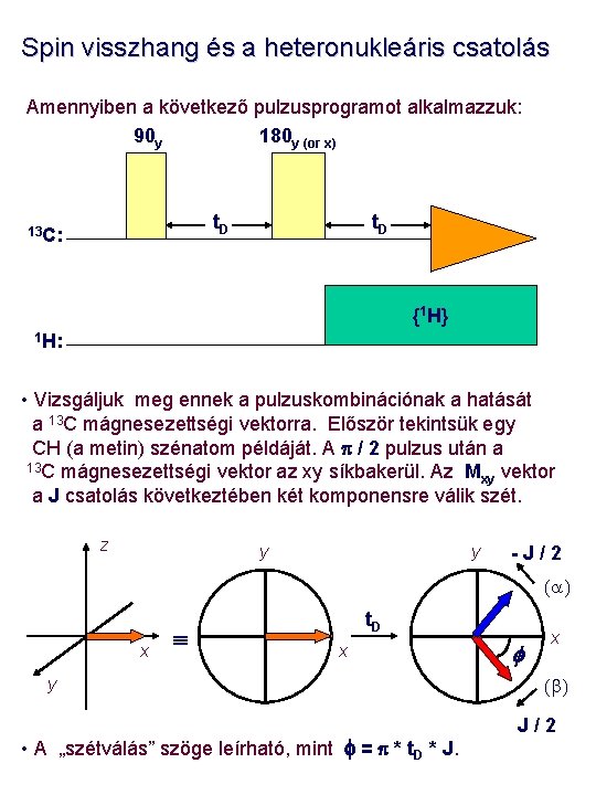 Spin visszhang és a heteronukleáris csatolás Amennyiben a következő pulzusprogramot alkalmazzuk: 90 y 180