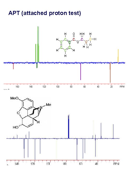 APT (attached proton test) 