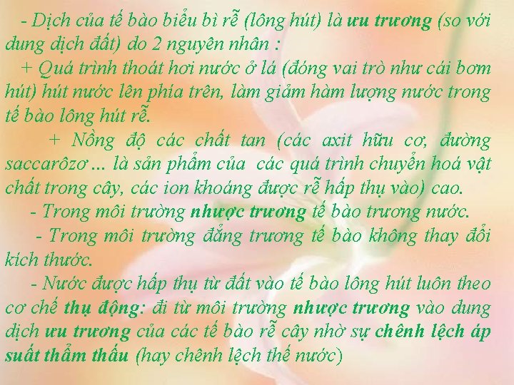 - Dịch của tế bào biểu bì rễ (lông hút) là ưu trương (so