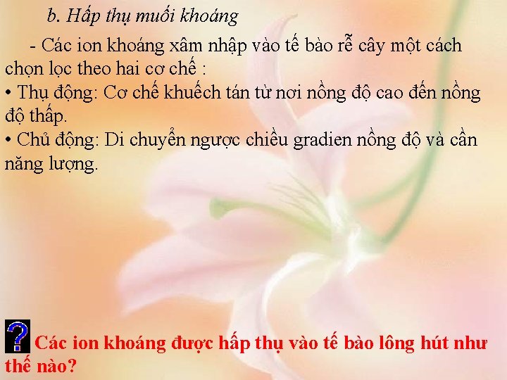 b. Hấp thụ muối khoáng - Các ion khoáng xâm nhập vào tế bào