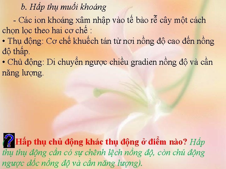 b. Hấp thụ muối khoáng - Các ion khoáng xâm nhập vào tế bào