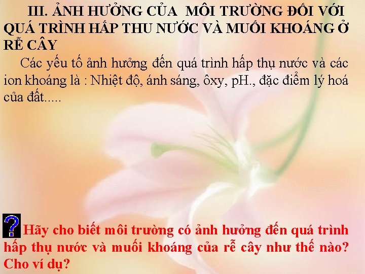 III. ẢNH HƯỞNG CỦA MÔI TRƯỜNG ĐỐI VỚI QUÁ TRÌNH HẤP THU NƯỚC VÀ