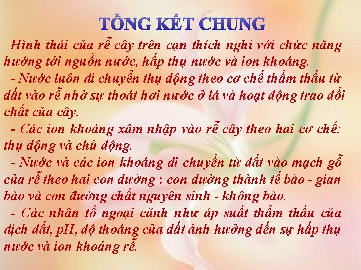 TỔNG KẾT CHUNG Hình thái của rễ cây trên cạn thích nghi với chức