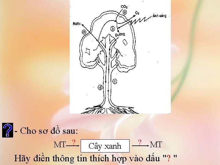 - Cho sơ đồ sau: MT ? Cây xanh ? MT Hãy điền thông