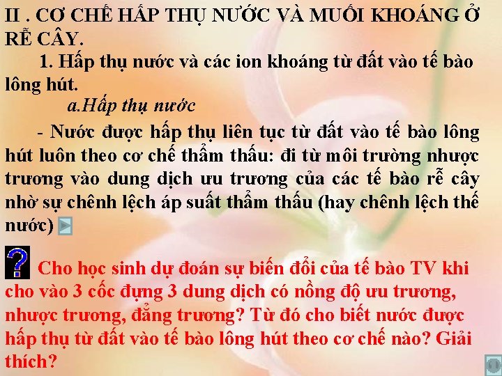 II. CƠ CHẾ HẤP THỤ NƯỚC VÀ MUỐI KHOÁNG Ở RỄ C Y. 1.