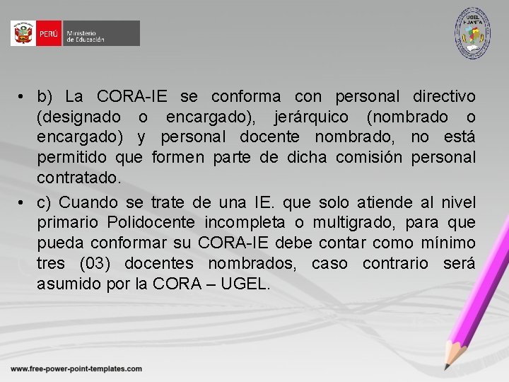  • b) La CORA-IE se conforma con personal directivo (designado o encargado), jerárquico