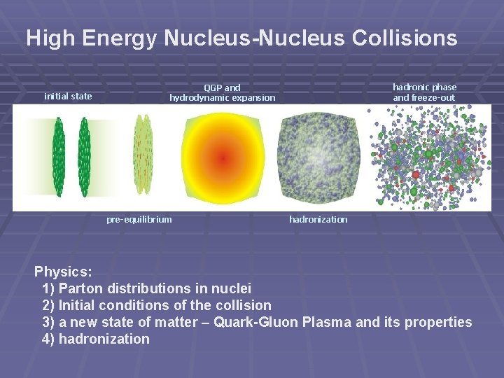 High Energy Nucleus-Nucleus Collisions initial state hadronic phase and freeze-out QGP and hydrodynamic expansion