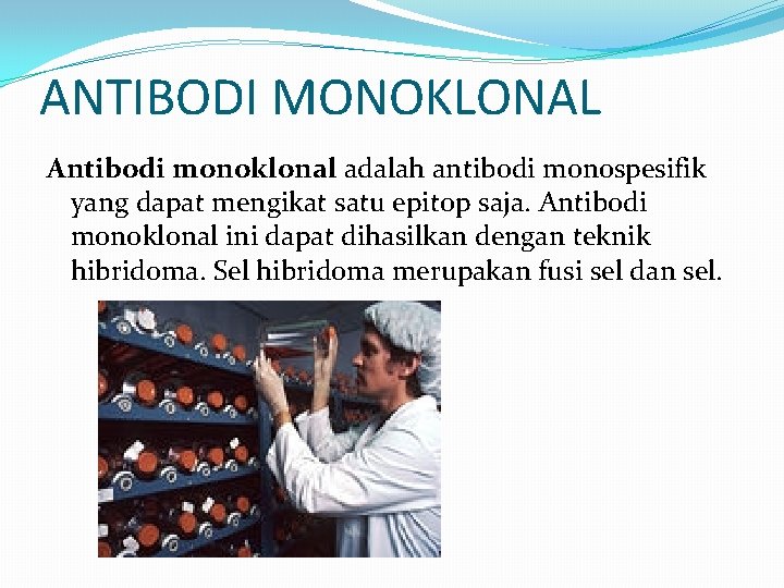 ANTIBODI MONOKLONAL Antibodi monoklonal adalah antibodi monospesifik yang dapat mengikat satu epitop saja. Antibodi