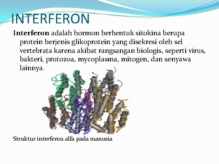 INTERFERON Interferon adalah hormon berbentuk sitokina berupa protein berjenis glikoprotein yang disekresi oleh sel
