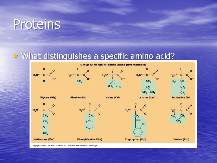 Proteins • What distinguishes a specific amino acid? Proteins • What distinguishes a specific amino acid?