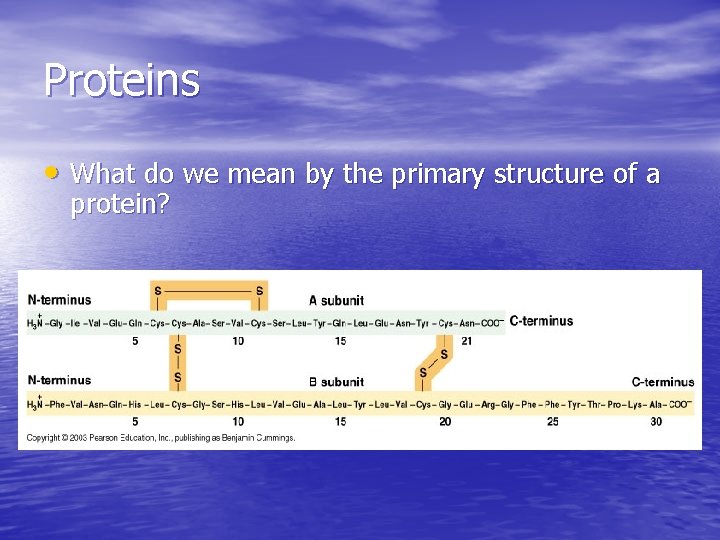 Proteins • What do we mean by the primary structure of a protein? Proteins • What do we mean by the primary structure of a protein?