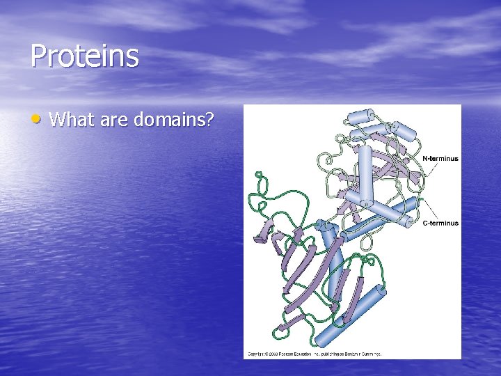 Proteins • What are domains? Proteins • What are domains?