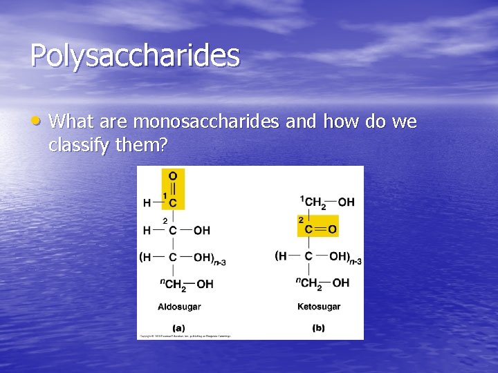 Polysaccharides • What are monosaccharides and how do we classify them? Polysaccharides • What are monosaccharides and how do we classify them?