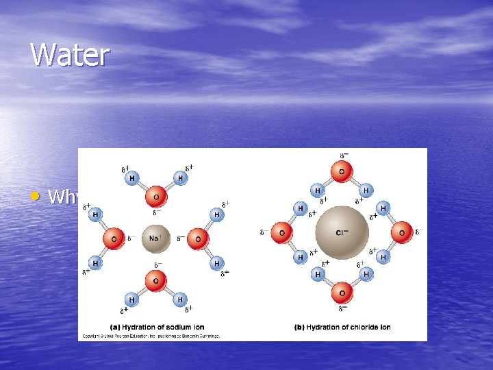 Water • Why is water such a good solvent? Water • Why is water such a good solvent?