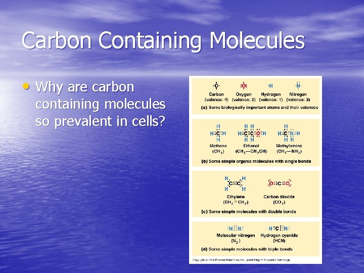 Carbon Containing Molecules • Why are carbon containing molecules so prevalent in cells? Carbon Containing Molecules • Why are carbon containing molecules so prevalent in cells?