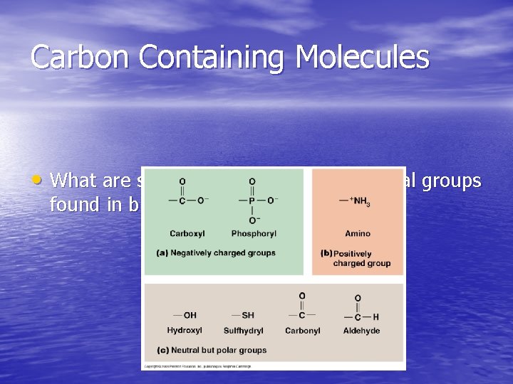 Carbon Containing Molecules • What are some of the common functional groups found in Carbon Containing Molecules • What are some of the common functional groups found in