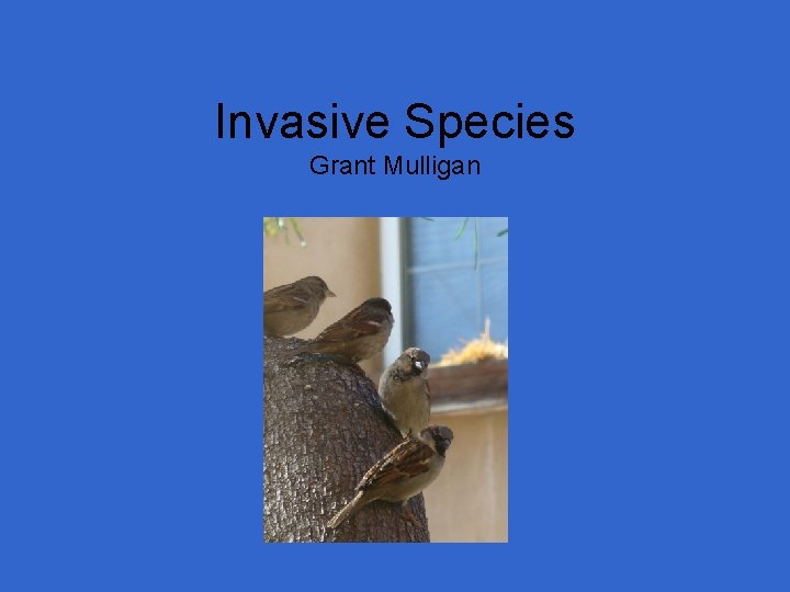 Invasive Species Grant Mulligan 