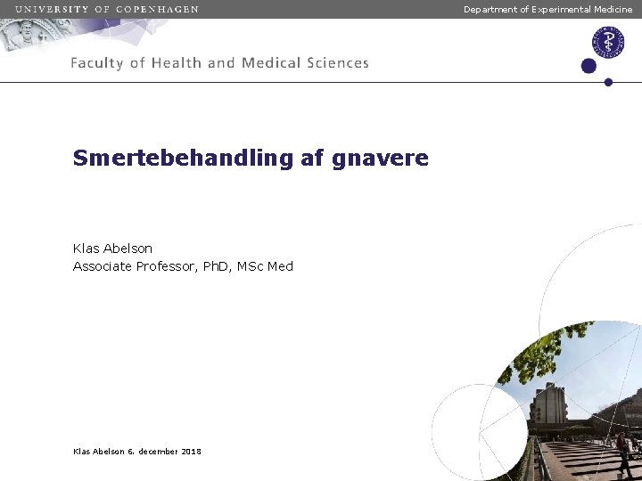 Department of Experimental Medicine Smertebehandling af gnavere Klas Abelson Associate Professor, Ph. D, MSc